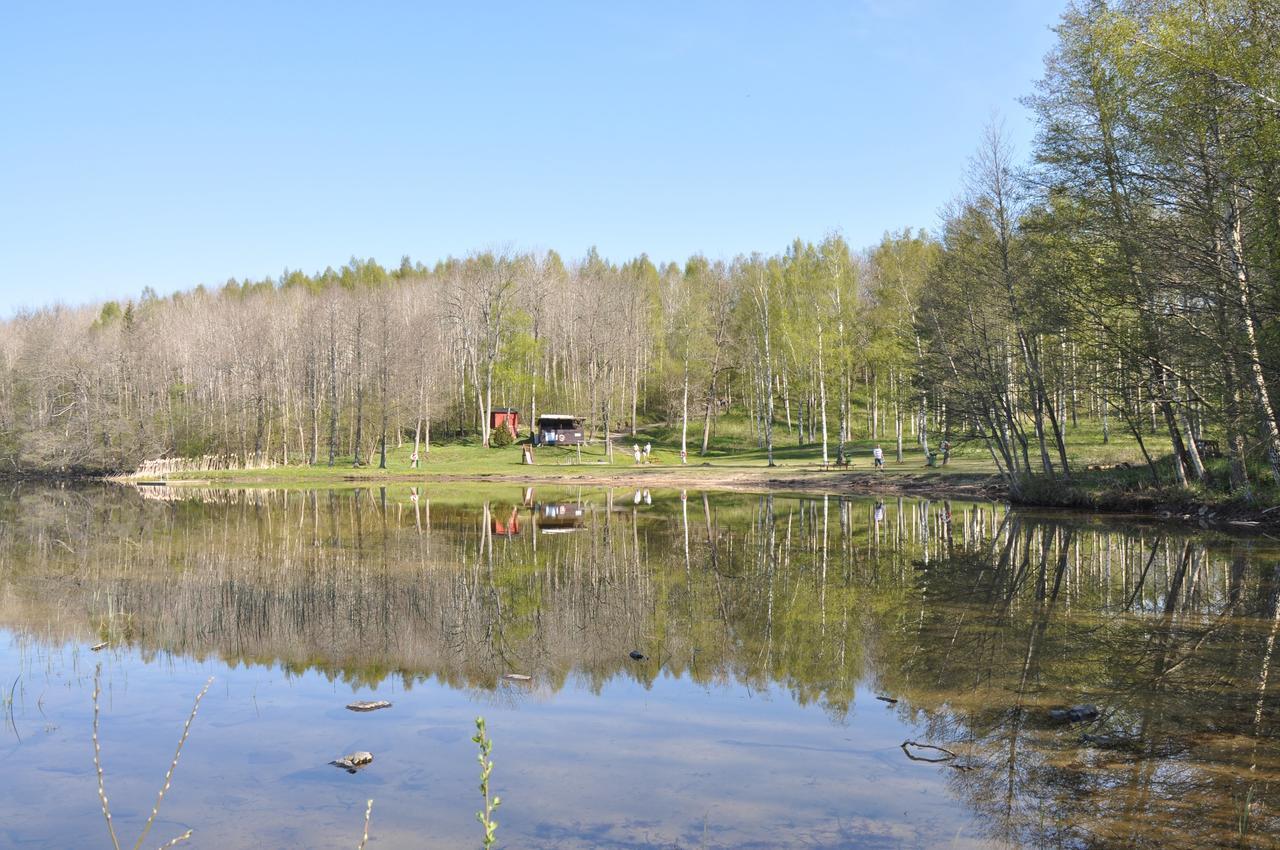 Furusjoens Cottage Ånimskog Extérieur photo